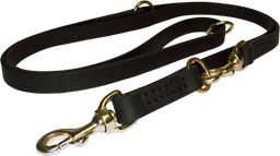 Multi Functional Dog Leash