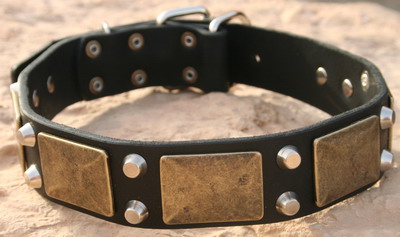 leather dog collar