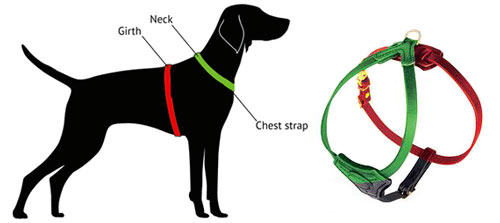 How to measure muzzle