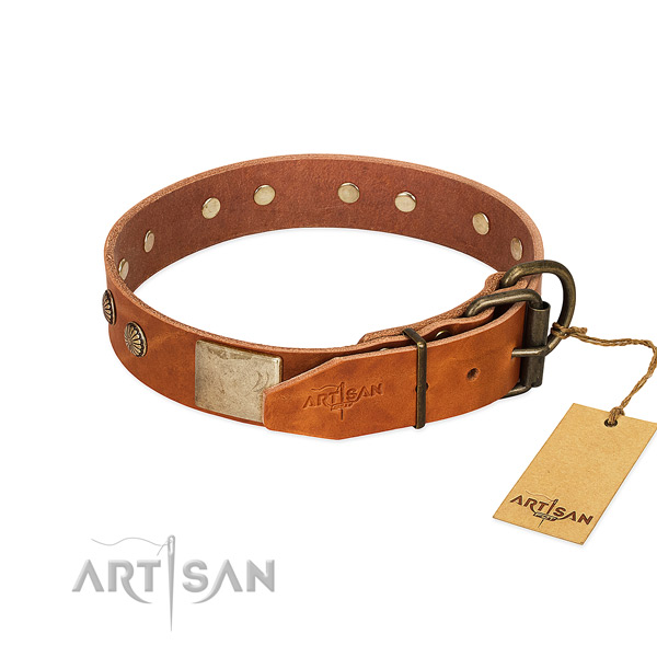 Tan Dog Collar Equipped with Rustproof Hardware