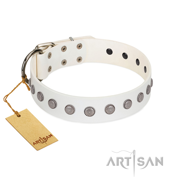 Fabulous FDT Artisan leather dog collar