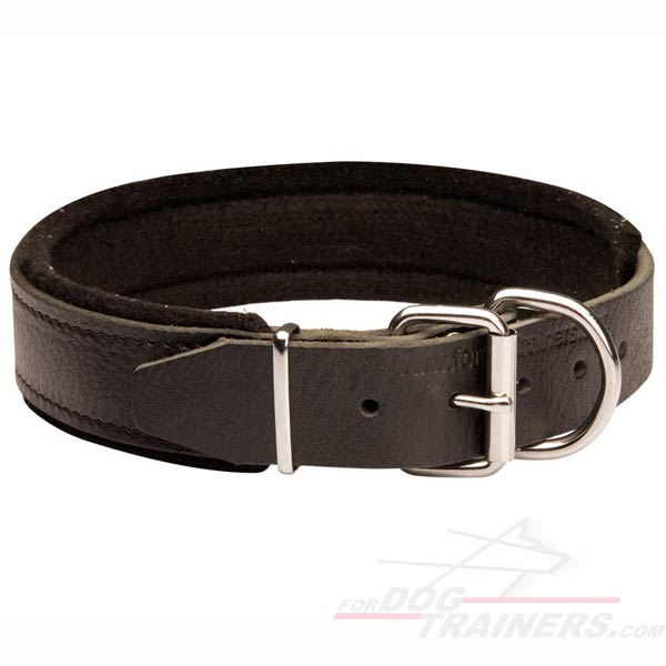  Rottweiler Collar Leather Extra Strong for Training