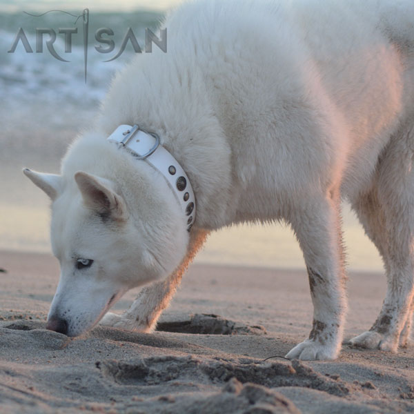 Adorned White Leather Husky Collar for Stylish Walking