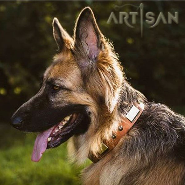 Decorated Leather German Shepherd Collar of Soft Genuine Leather