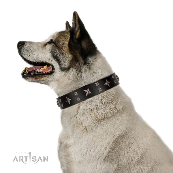 Safe walking leather Akita Inu collar