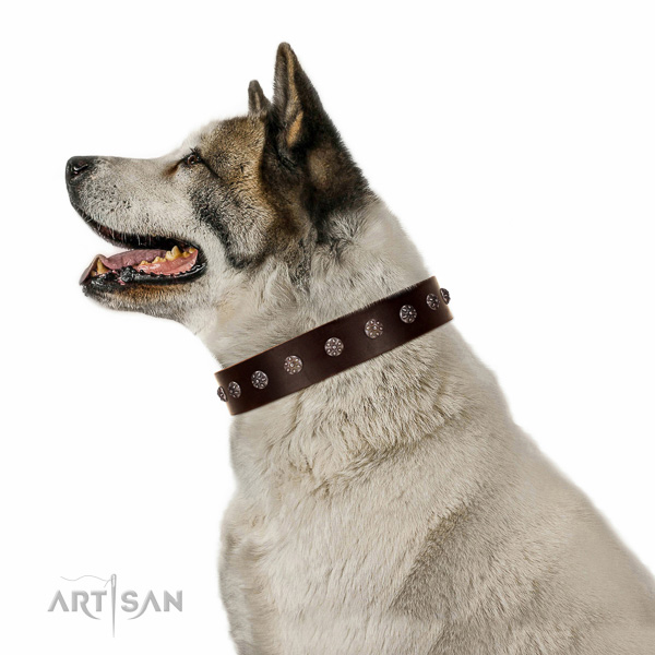 Best quality FDT Artisan brown Akita-Inu collar for comfortable wear