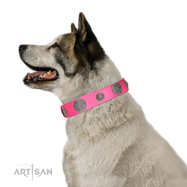 Elegant walking leather Akita Inu collar