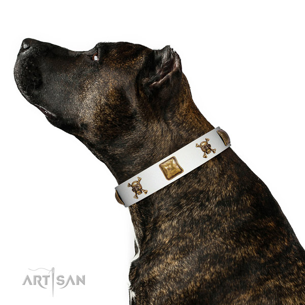 Totally safe Amstaff Artisan tan leather collar