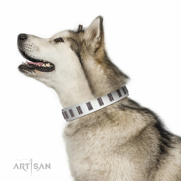 Handmade walking leather Malamute collar for walking in style