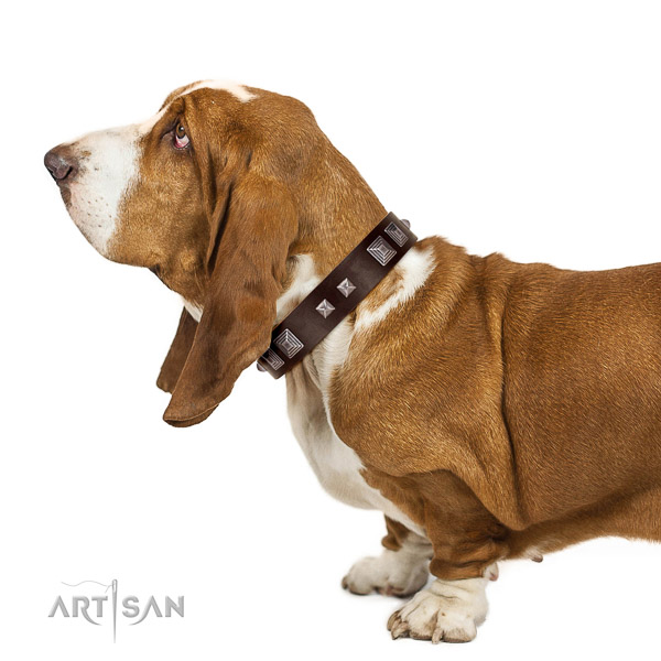 Comfortable walking leather Basset Hound collar