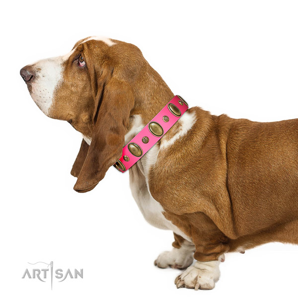 Soft leather Basset Hound collar for walking