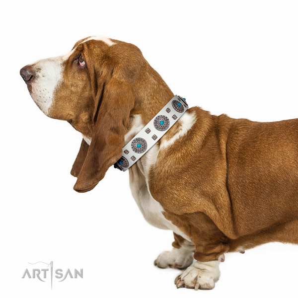 Pleasant to wear white leather Basset Hound collar