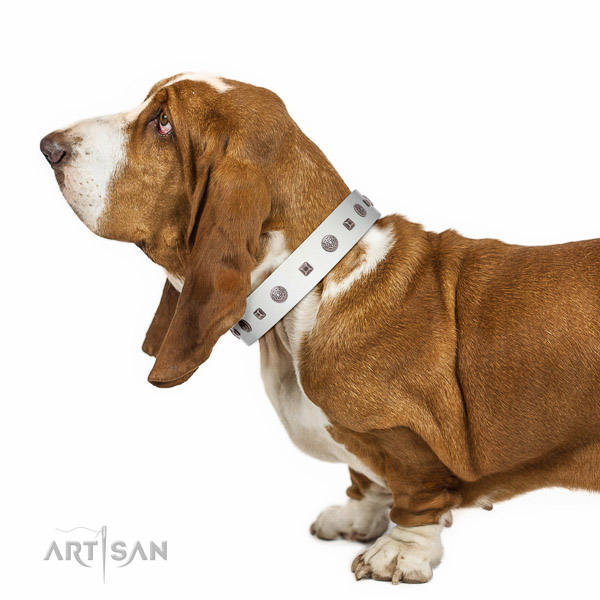 Extraordinary walking white leather Basset Hound collar with chic decorations