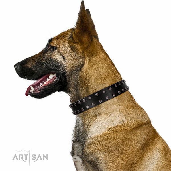 Walking top-notch quality walking leather Belgian-Malinois collar