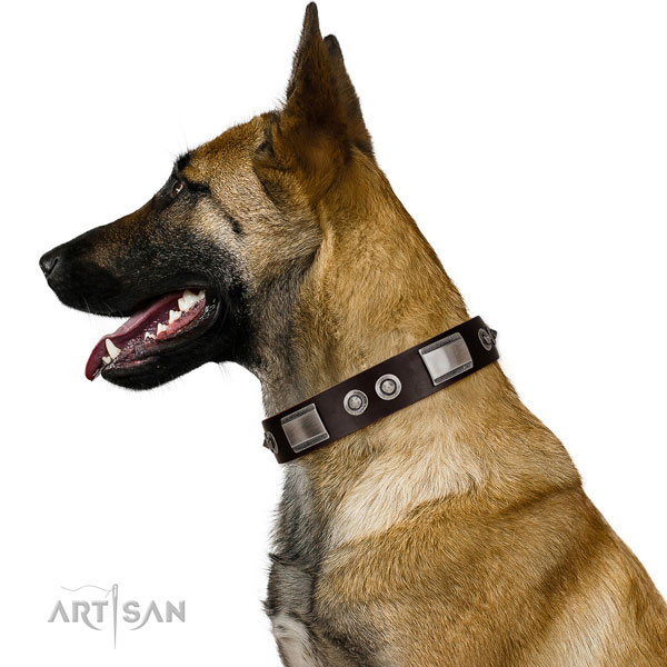 Comfortable leather Belgian Malinois collar