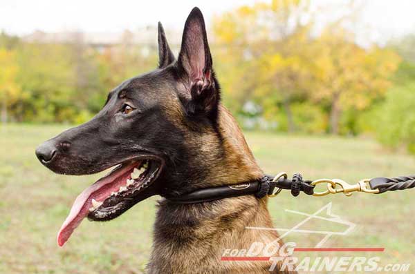 Convenient Round Leather Choke Collar for Malinois