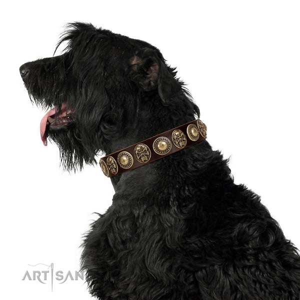 Practical leather Black Russian Terrier collar for daily walking