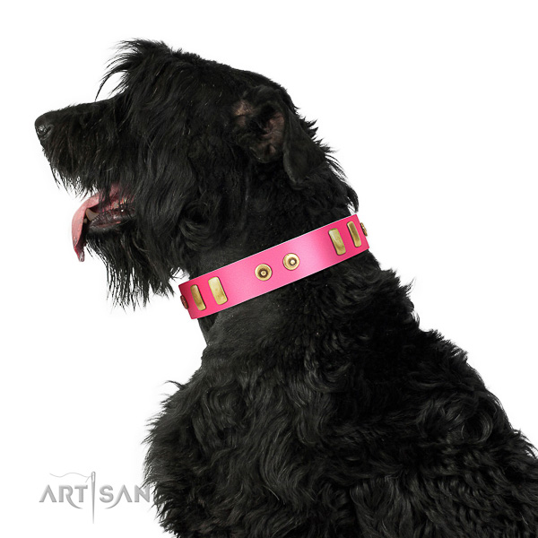 Extraordinary walking leather Black Russian Terrier collar