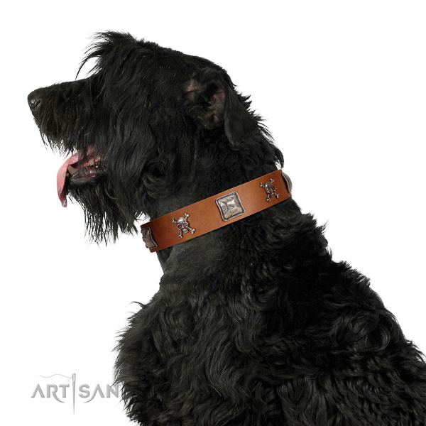 Soft Leather Black Russian Terrier Collar is Comfortable to Wear