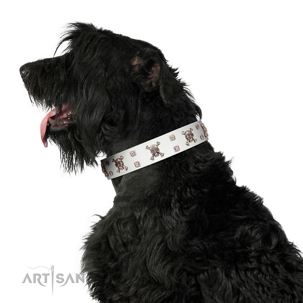 Extraordinary walking white leather Black Russian Terrier collar with chic decorations