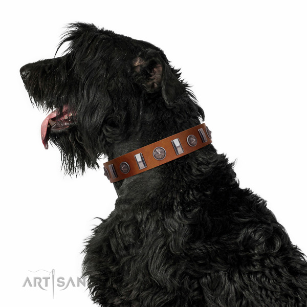 Walking top-notch quality walking leather Black Russian Terrier collar