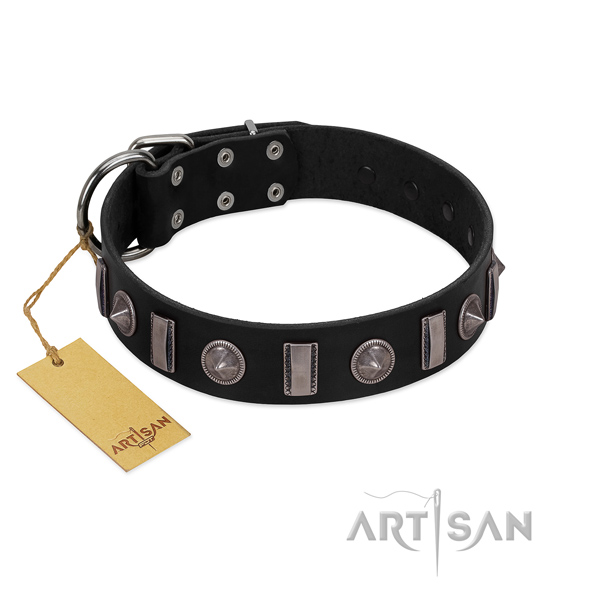 Fabulous FDT Artisan leather dog collar