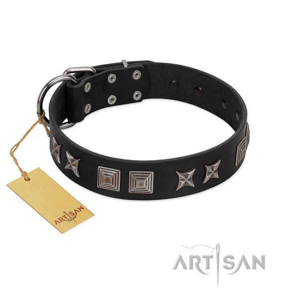 Fabulous FDT Artisan leather dog collar