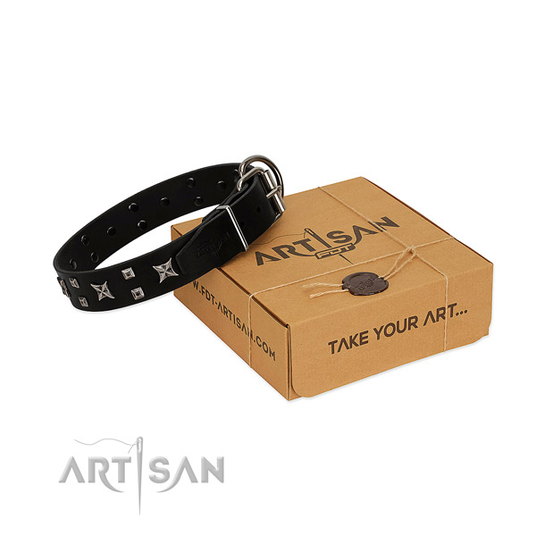 FDT Artisan leather dog collar for good control