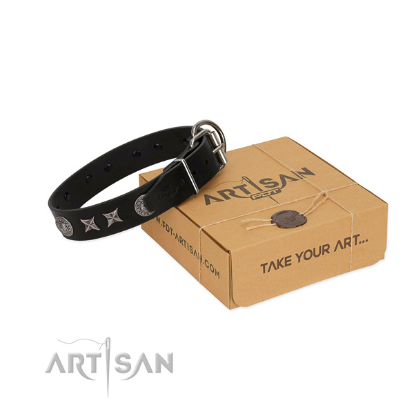 FDT Artisan leather dog collar for good walks