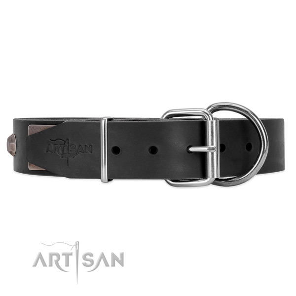 Leather dog collar with silver-like hardware