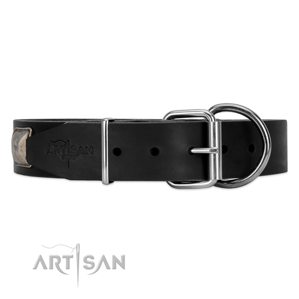 Leather dog collar with strong hardware