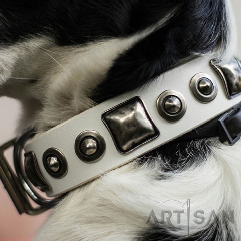 FDt Artiasn leather Border Collie collar with adornments