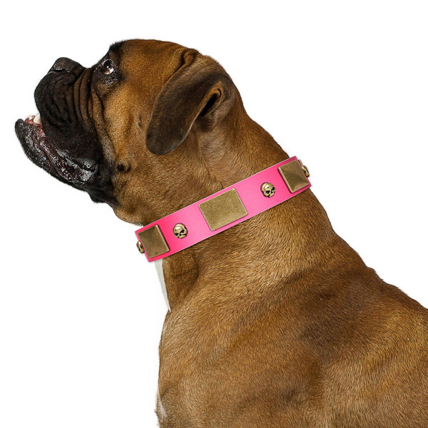 Glamorous Walking Boxer Collar of Full Grain Leather