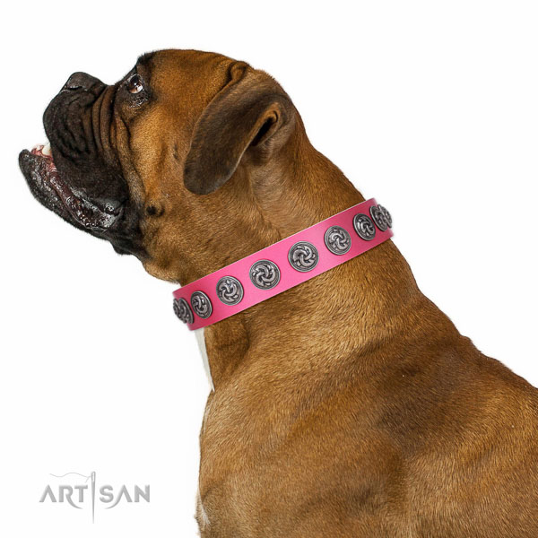 Extraordinary walking pink leather Boxer collar with chic decorations