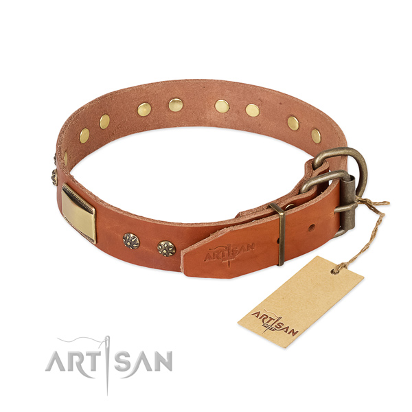 Brass Decorative Parts on Tan Dog Collar