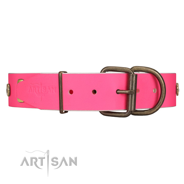 Walking dog collar with reliable fittings