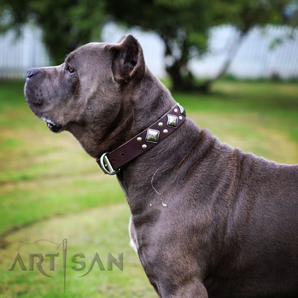 Leather Dog Collar with Chrome Plated Steel D-ring