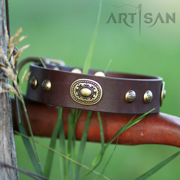 Brown Leather Siberian Husky Collar Handcrafted for Titan