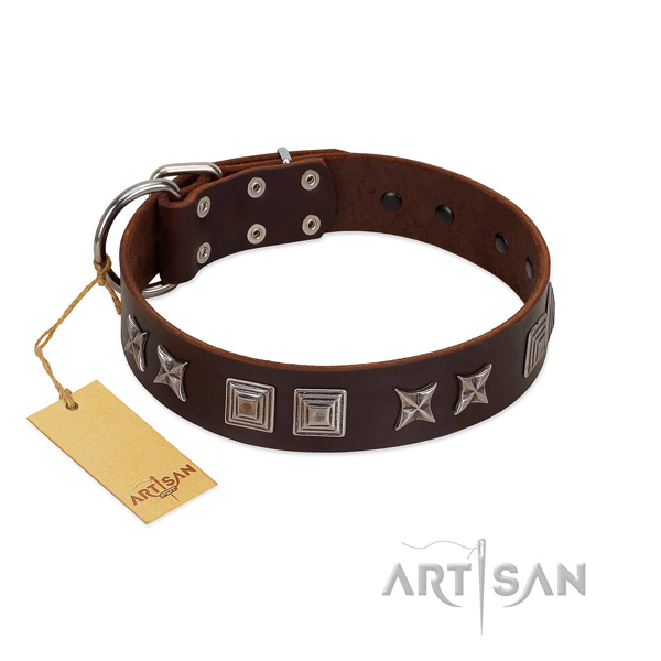 Fabulous FDT Artisan leather dog collar