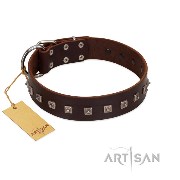 Fabulous FDT Artisan leather dog collar