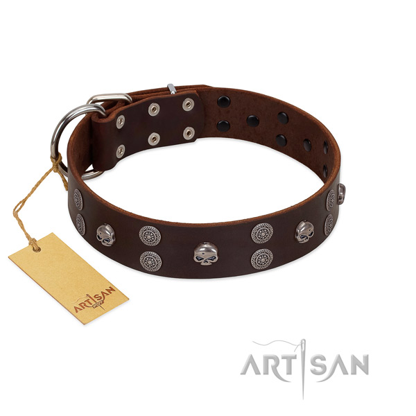 Fabulous FDT Artisan leather dog collar