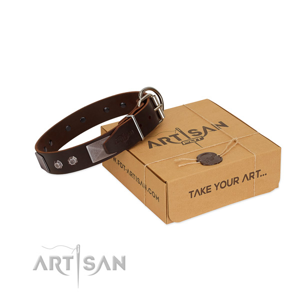 FDT Artisan leather dog collar for safe and pleasant walks