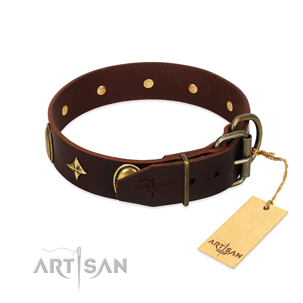 Perfect fit leather dog collar for everyday activities