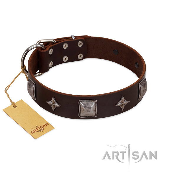 Fabulous FDT Artisan leather dog collar