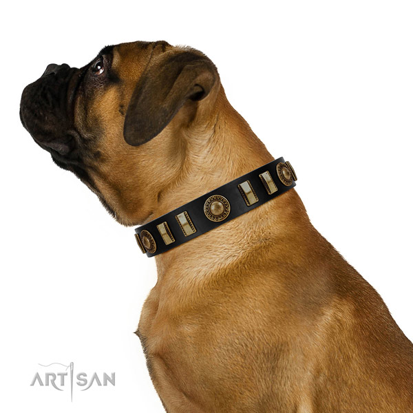 Wonderful Bullmastiff leather collar for everyday walking