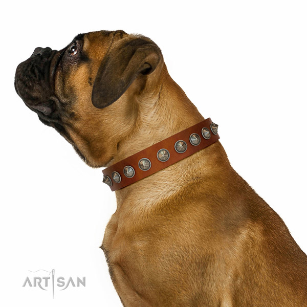 Walking top-notch quality walking leather Bullmastiff
collar