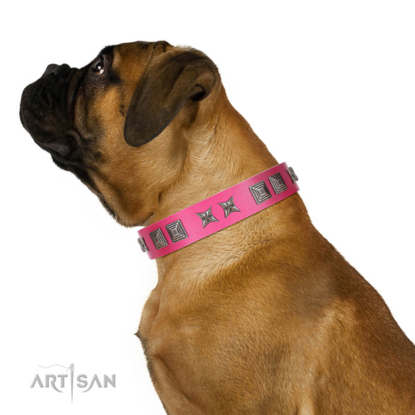 Walking top-notch quality walking leather Bullmastiff collar