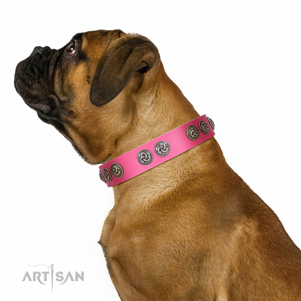 Walking top-notch quality walking leather Bullmastiff collar