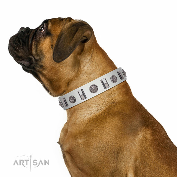 Walking top-notch quality walking leather Bullmastiff collar