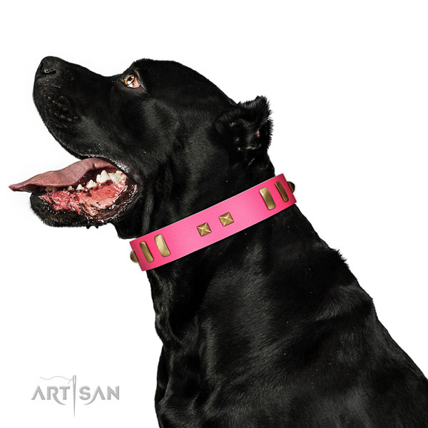 Bright Pink Genuine Leather Cane Corso Collar